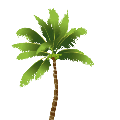 Coconut Tree